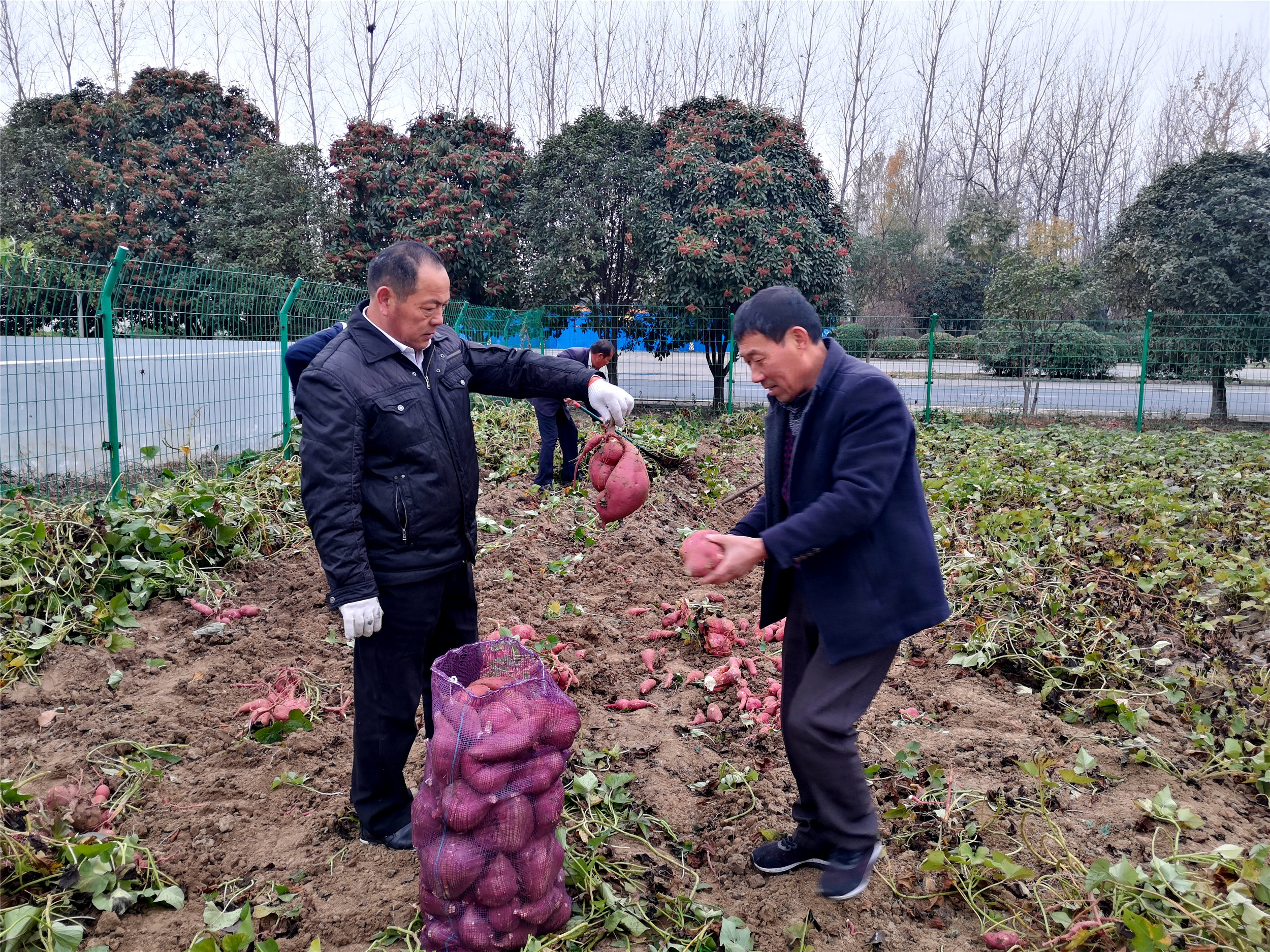 01_副.jpg 01_副.jpg